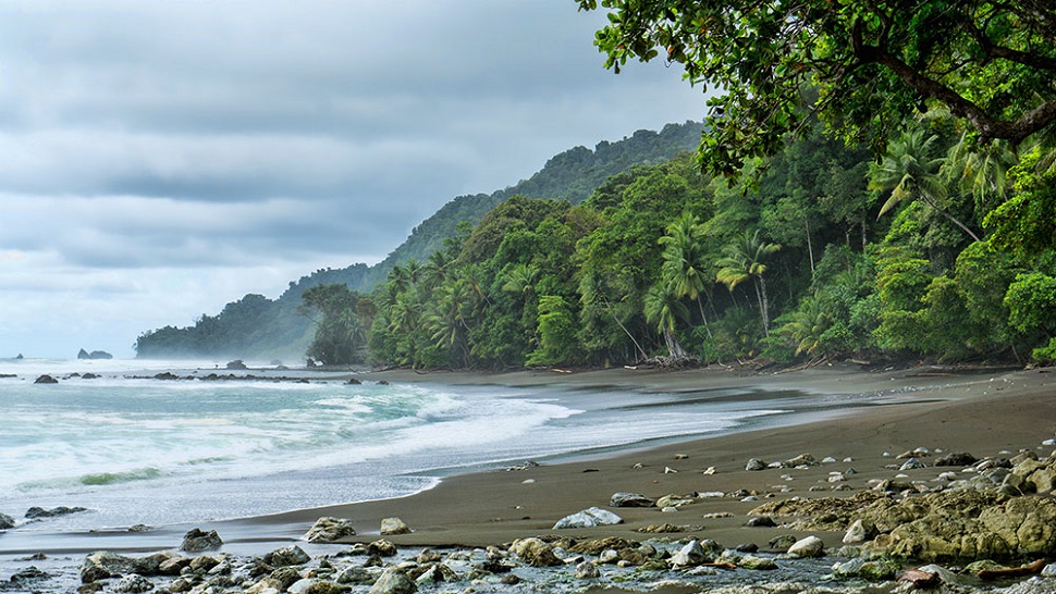 Corcovado National Park One Day Tour From San Jose